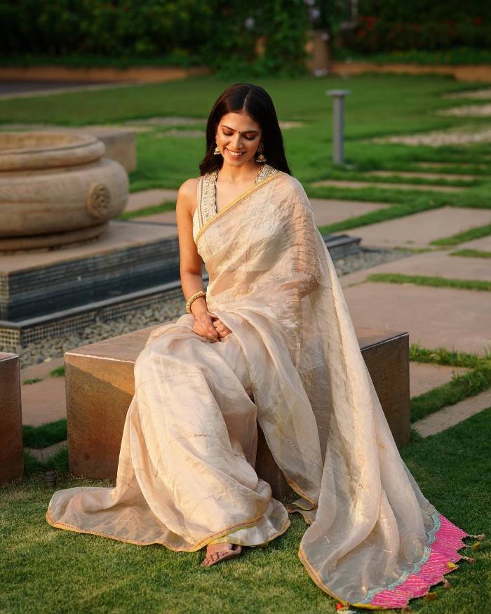 malavika mohanan_teluguvox 4